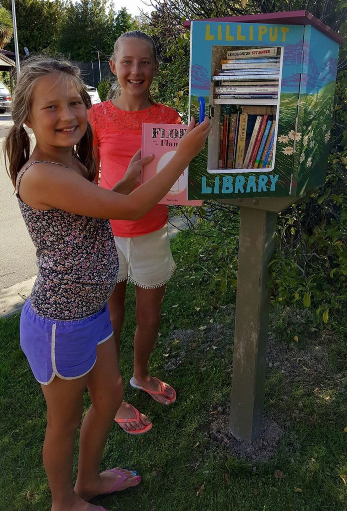 41 Cedar Drive Lilliput Library