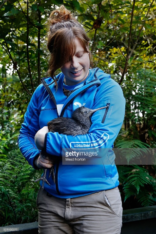 Kiwi Birdlife Park