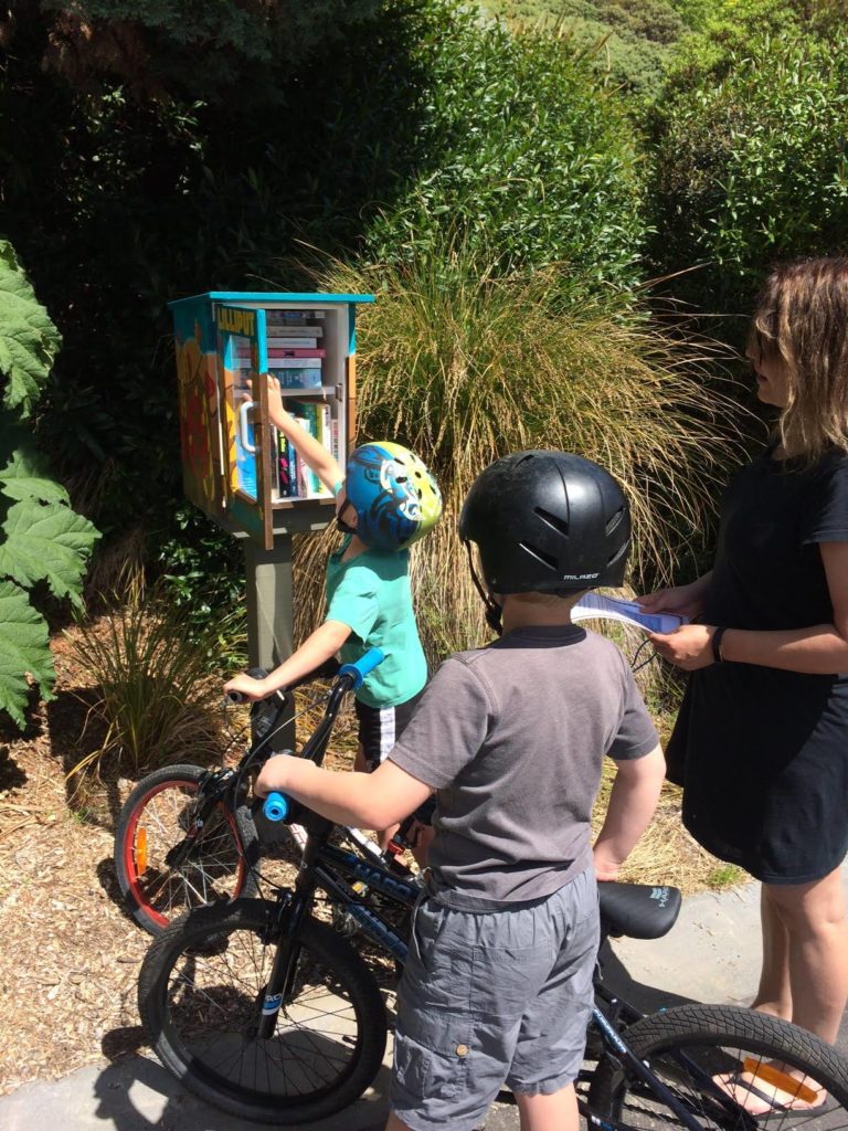 Willow Place Lilliput Library